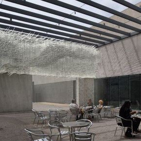 Hedge. Courtesy of CAM