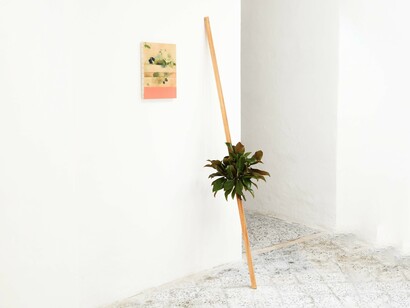 Sintesi, 2020, legno, foglie di magnolia, olio su tela 30x40 cm