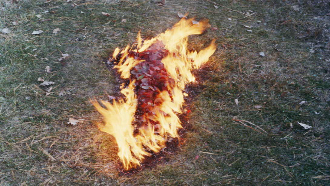 Ana Mendieta, Untitled: silueta series, 1977. © The Estate of Ana Mendieta Collection, LLC. Licensed by Artists Rights Society (ARS), NY. Courtesy Marian Goodman Gallery
