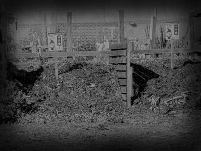 Tualatin River Watershed and their living soil sponge garden