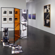 Various artists, Traces of reality, exhibition view. Courtesy of Lentos Kunstmuseum