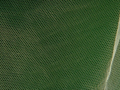 Pedro Neves Marques. Courtesy of Pérez Art Museum