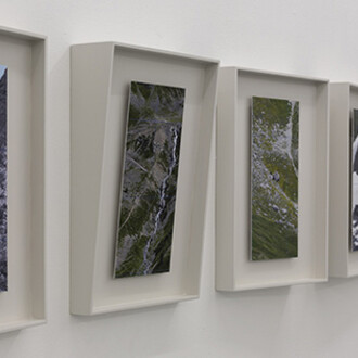 Sheeps don’t forget a face. Courtesy of Bendana | Pinel 