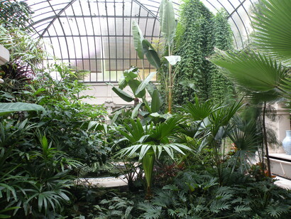 Jardin d'hiver