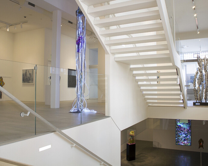 Botánica, Exhibition view. Courtesy of Berggruen Gallery