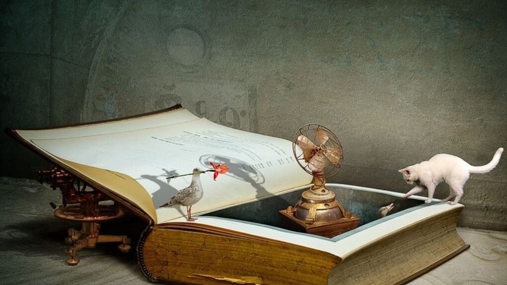 Segni e sensi si incontrano