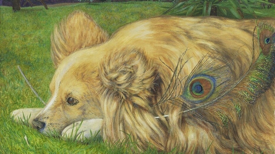 Emily Hunt, Jealous Jessie, 1861