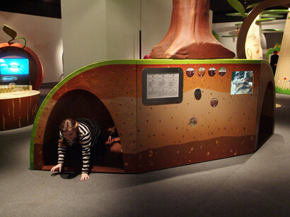 © Horniman Museum and Gardens