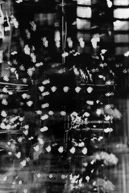 Fundamentals. Courtesy of Black Box Projects