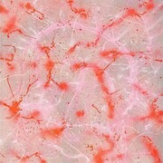 Danza Cosmica, 2012, Acrylic on canvas, 39 3/8 x 39 3/8 inches, 100 x 100 cm © 2014 Alberto Di Fabio. Courtesy Gagosian Gallery