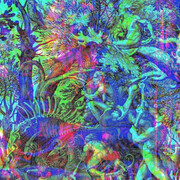 Communication Museum