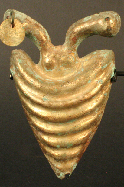 Ornamento: caracol

Materiales: Metal

Tardío 0- 500 d.C.

Medidas: 11mm de alto