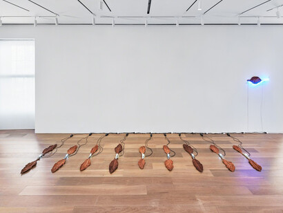 Ileana Sonnabend and Arte Povera. Courtesy of Lévy Gorvy