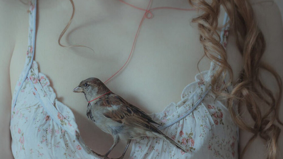 L'impatto. Ph Laura Makabresku
