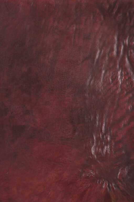 Anneliese Schrenk. Courtesy of Circle Culture