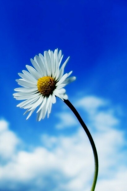 Il cielo e le nuvole