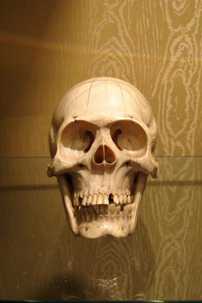 Vanitas in avorio, fine XIX secolo – inizio XX, firmata sul retro, di provenienza giapponese