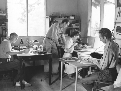 William Beebe, Henry Fleming, Jocelyn Crane y George A. Swanson en la estación biológica de campo en Caripito, Venezuela