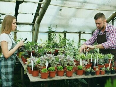 O Sacco System, um grupo de biotecnologia, expandiu-se recentemente na América do Sul ao adquirir uma empresa uruguaia (BioInsumos) e integrá-la à sua subsidiária brasileira existente, criando uma presença regional unificada. Essa estrutura colaborativa é fortalecida pela proximidade, alinhamento cultural e objetivos econômicos compartilhados, com o Uruguai frequentemente atuando como um parceiro fundamental para o Brasil no desenvolvimento científico e na integração regional