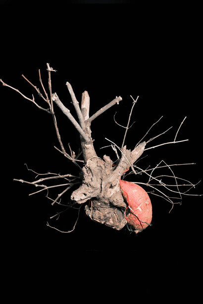 Naomi Zhaler, Colorized CBCT of Heart, 2018. © Naomi Zhaler, courtesy of Howard Greenberg Gallery, New York