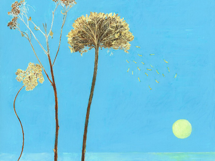 Jocelyn Clarke, Yarrow, 2014, 36 x 41 cm, oil on board