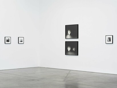 Joanne Leonard and Brittany Nelson's exhibition, exhibition view. Courtesy of Luhring Augustine, New York