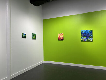 Navi Naisang, Phantom limb, exhibition view. Courtesy of Tyger Tyger Gallery