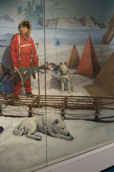 Antarctica. Courtesy of Royal Army and Military History Museum