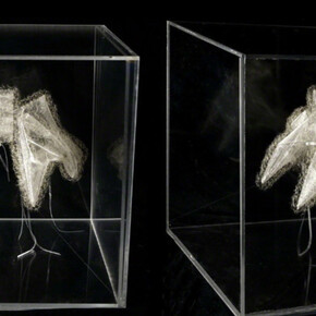 Isabel Consigliere. Courtesy of Luisa Catucci Gallery