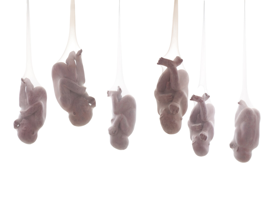 Emanuele Giannelli, Fabbricanti di cellule staminali