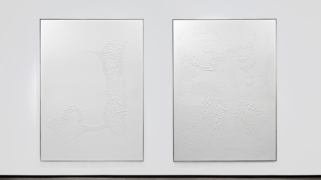 Santiago Taccetti, ISO 9001, installation view