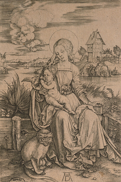 Albrecht Dürer, La Vierge au singe, vers 1498. Avec l'aimable autorisation du Musée de Grenoble