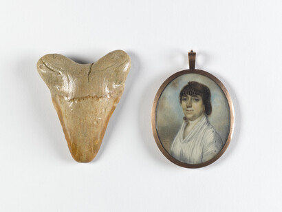 Fossil shark tooth Carcharodon megalodon, USA
Collection National Museum of Ireland – Natural History
Thomas Clement Thompson, Mrs Reid, wife of Captain Reid of Co. Tipperary, 1799, Watercolour on ivory in a gold pendant, 6.8 x 5.6 cm, Transferred from the National Museum, 1969, National Gallery of Ireland Collection, Photograph © National Museum of Ireland. Photographer: Bryan Rutledge
