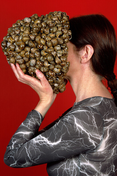 Alice Maher, Helmet, 2005. Courtesy of Irish Museum of Modern Art