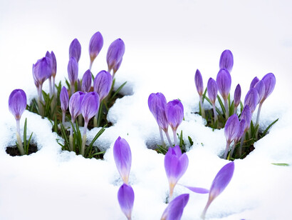 Descubrirnos, comprendernos, localizar aquello que nos limita, desprendernos de aquello que no nos permite crecer, cambiar los hábitos que nos perjudican mental, física y espiritualmente