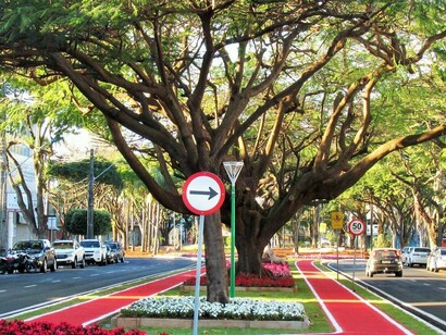 Avenida Cerro Azul, em Maringá. Maringá me ensinou sobre esperança. Sobre o poder do simples. Sobre como a vida continua, mesmo quando o mundo parece ter parado