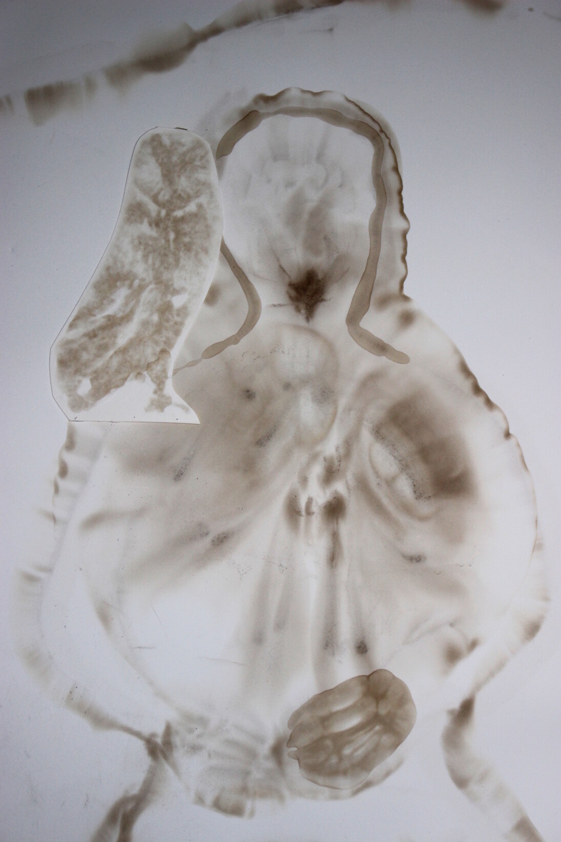 The Horizontal Within, The Horizontal Without, Courtesy of LUBOMIROV / ANGUS-HUGHES