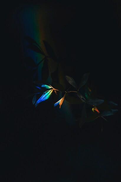 Bisogna avere la consapevolezza di poter vedere noi stessi dentro lo “specchio” dell’altro