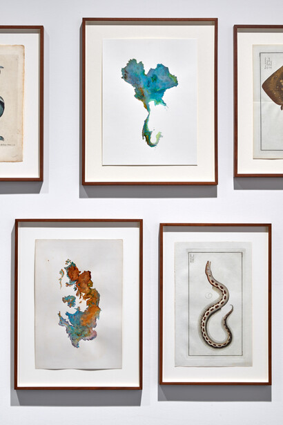 Anri Sala. Courtesy of Mudam Luxembourg