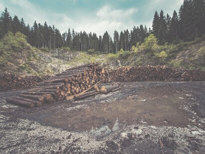 A solitary brown tree log lies on a once lush green grass field, a solemn reminder of the devastating impact of deforestation in broad daylight