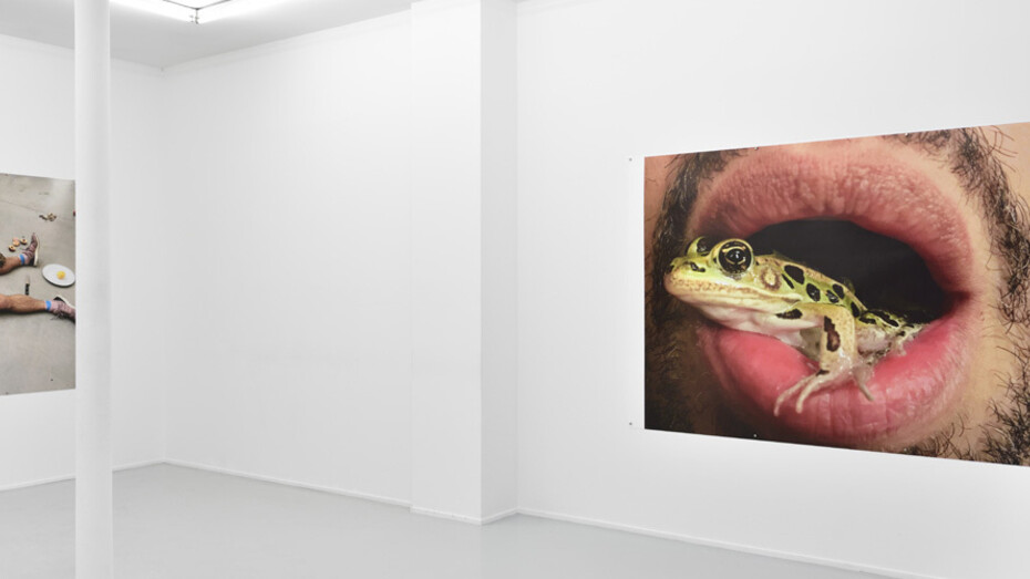 Leg, snails and peaches. Courtesy of Suzanne Tarasieve