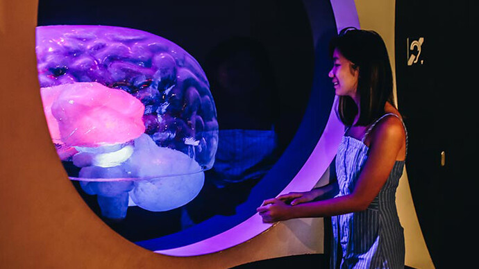 Tuning In: Brain and Body. Courtesy of Science Centre
