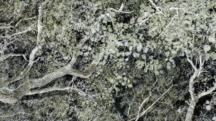 Santeri Tuori. Courtesy of Purdy Hicks Gallery