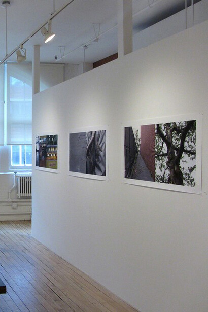 East Harlem Diptychs. Courtesy of Carter Burden Gallery 