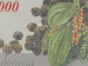 Stamp of Indonesia (2016) - piper nigrum, paying homage to the plant's origin