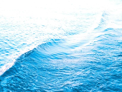 La clave de la vida en la Tierra