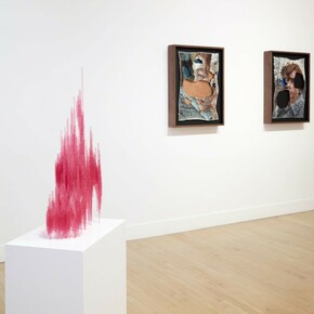 Won Ju Lim. Casting, Exhibition view. Courtesy of Haines Gallery