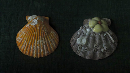 Ilha Grande, una isla paradisíaca en Brasil, pasó de ser una prisión de alta seguridad a un destino turístico enfocado en la sostenibilidad y la conservación ambiental