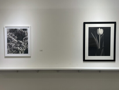 Various artists, Color blind, exhibition view. Courtesy of Winston Wächter Fine Art