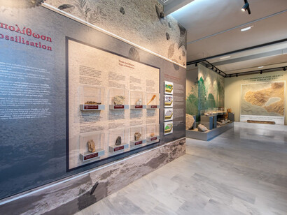 Exhibition of the Lesvos Petrified Forest, exhibition view. Courtesy of Natural History Museum of the Lesvos Petrified Forest